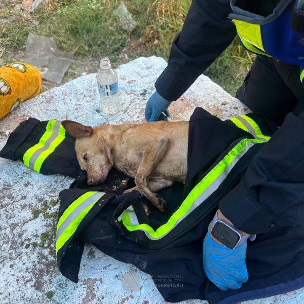 🚨🔥🏠 Corto circuito provoca incendio en vivienda de&hellip;