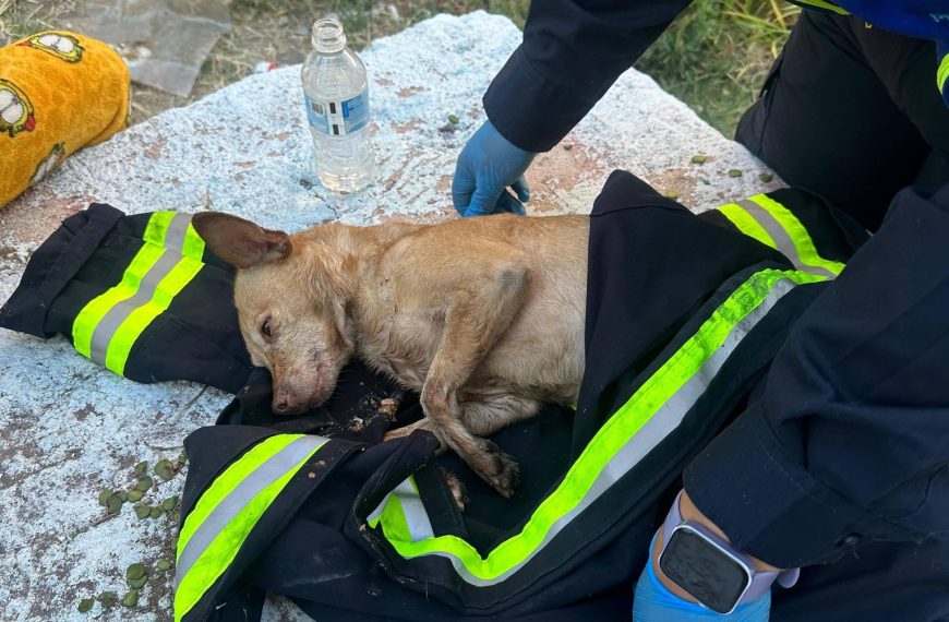 🚨🔥🏠 Corto circuito provoca incendio en&hellip;