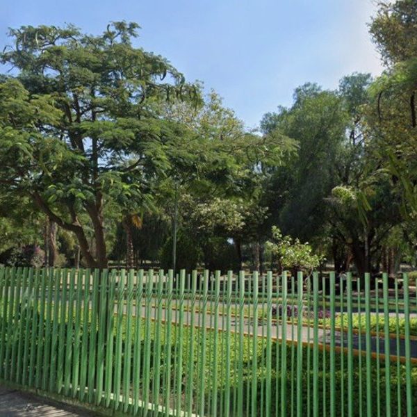 🚨🌳🚆 Parque Alcanfores podría convertirse en Área Natural&hellip;