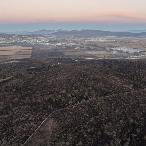 🔥🚨 Infierno en Cadereyta: incendio forestal devora 90&hellip;