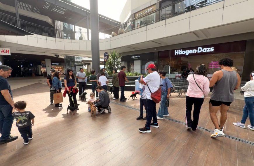 🚨🐾 Querétaro refuerza la protección animal:&hellip;