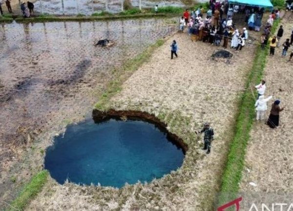 🚨💧 Creyeron que era “agua milagrosa” y terminó&hellip;