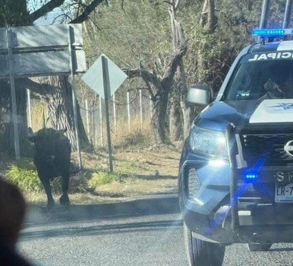 🚨🐂 Muere adulto mayor tras 12 días hospitalizado&hellip;