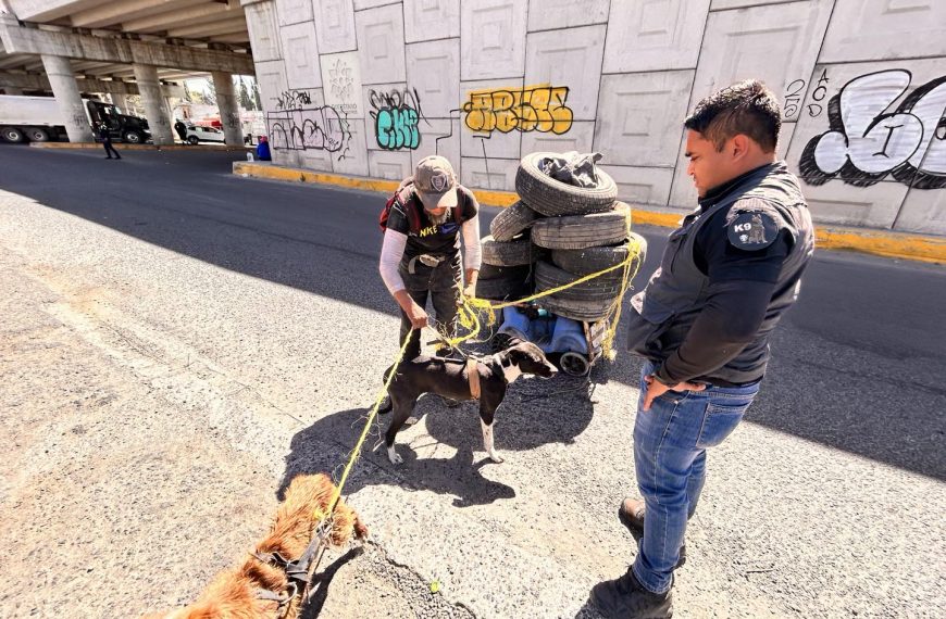 🚨🐾 Exponen maltrato animal en El&hellip;