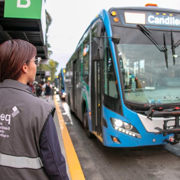 🚍💳 Viajes ilimitados por 86 pesos: AMEQ lanza&hellip;