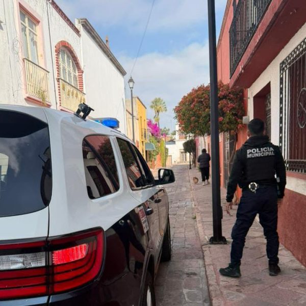 🚨 Robo en sus distintas modalidades lidera detenciones&hellip;