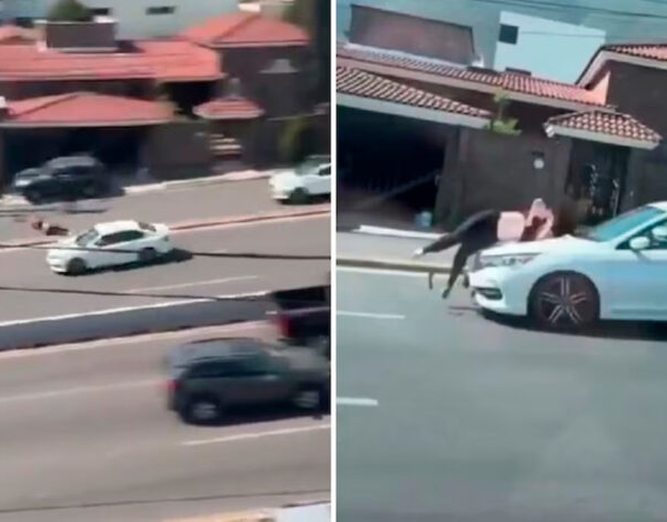 🚨⚖️Justicia, liberaron a Karla, la pobre conductora que&hellip;