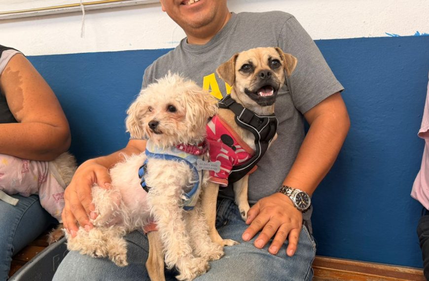 🐶🐱🎉 ¡Feria de Bienestar Animal en&hellip;