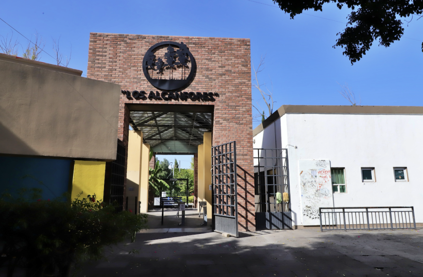 🌳🏞️ Abren consulta para proteger Los&hellip;