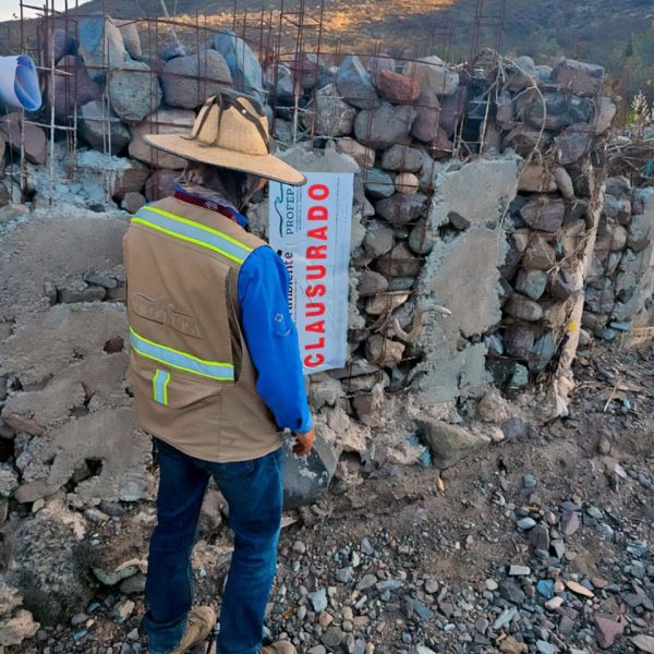 🚨 Detectan tala ilegal de 57 árboles y&hellip;