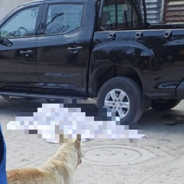 🚨 Lo bajaron de su camioneta y lo&hellip;