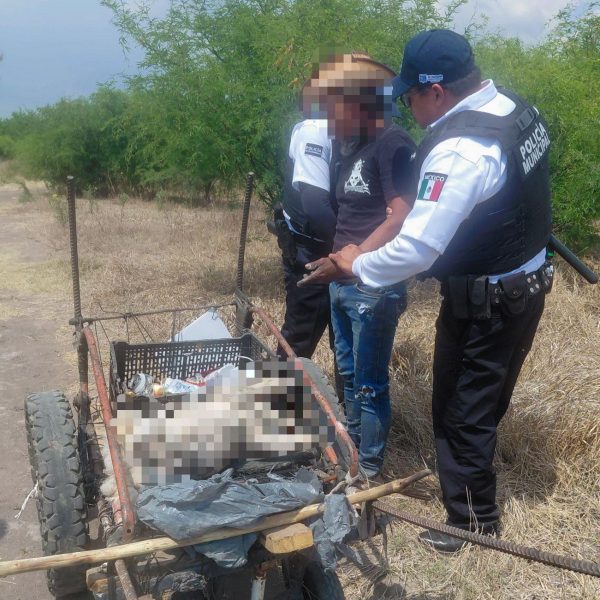 🚨 ¡Indignación en El Marqués! Sujeto arroja a&hellip;