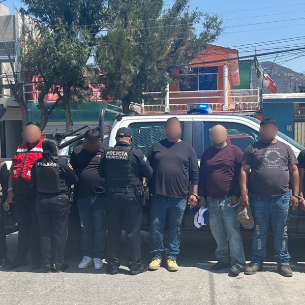 🚨 Se pasan el alto y terminan detenidos:&hellip;