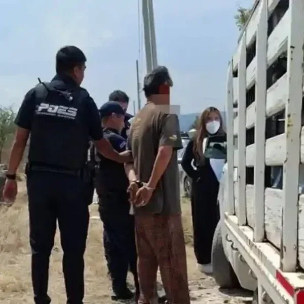 🚨 Rescatan a más de 30 perros en&hellip;