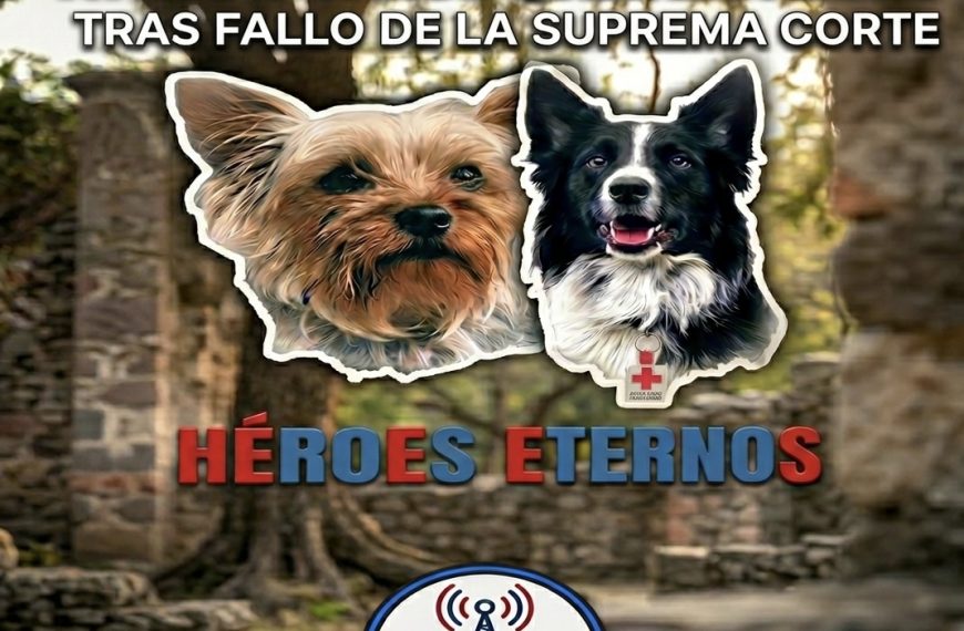 🚨🐶⚖️ Caso Athos y Tango da&hellip;