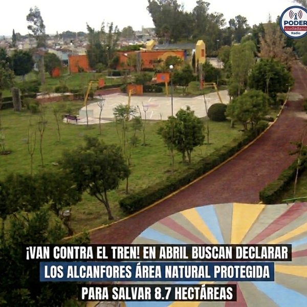 🌿🚨 ¡Van contra el tren! En abril Buscan&hellip;