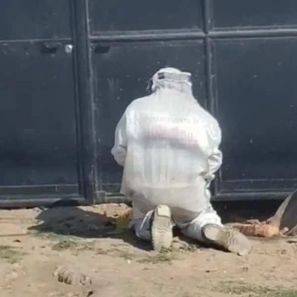 🚨🐝 Ataque de abejas en Santa Matilde deja&hellip;