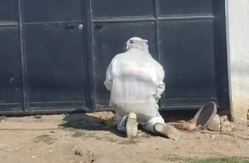 🚨🐝 Ataque de abejas en Santa Matilde deja&hellip;