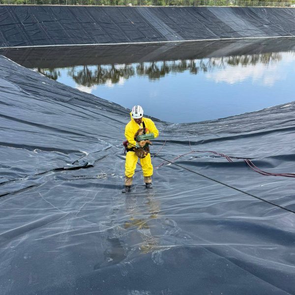 🚨🐶 Rescatan a perrito atrapado en fosa en&hellip;