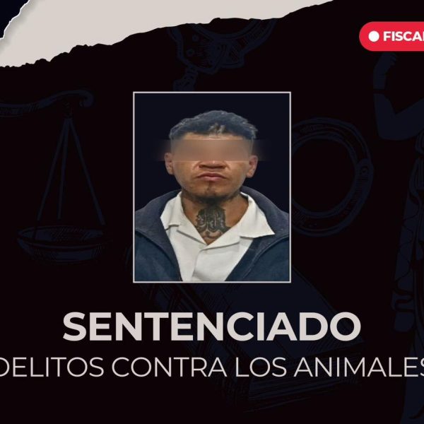 🚨 ¡Justicia para “Polainas”! Sentencian a sujeto a&hellip;