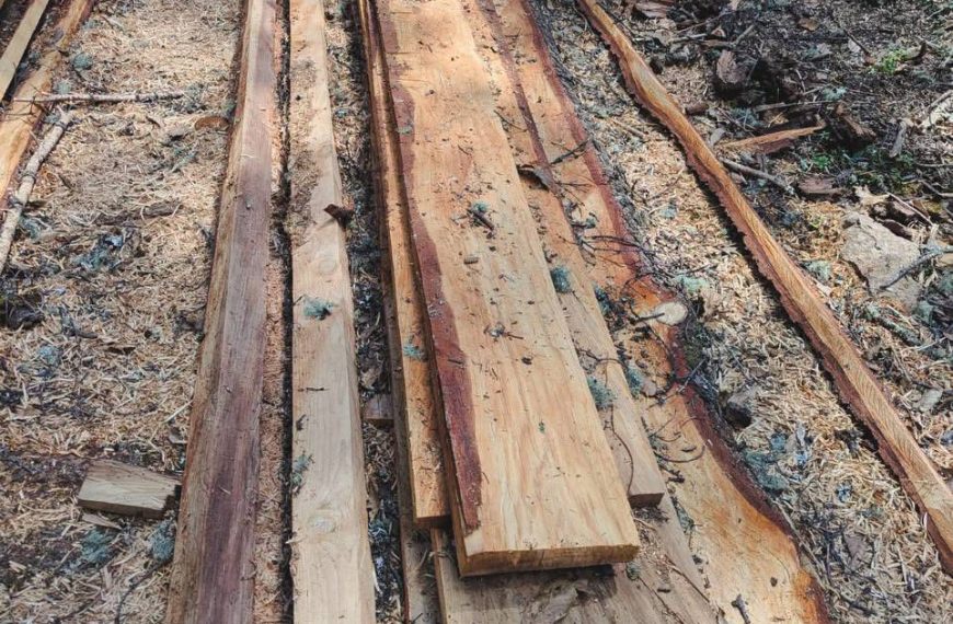 🚨🌲 Devastación en el Zamorano: aseguran&hellip;