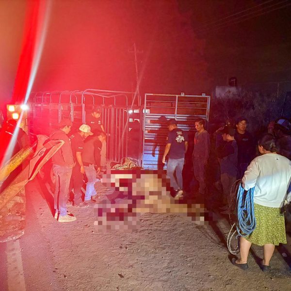 🚨 ¡Alerta en la 500! Caballo queda gravemente&hellip;