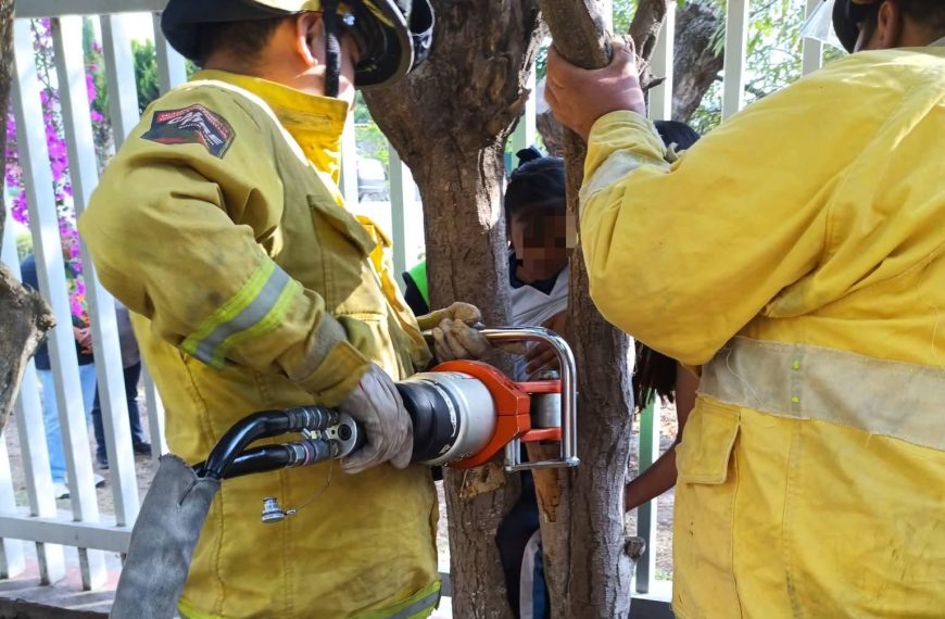 🚨 Niña queda atrapada en árbol dentro de&hellip;