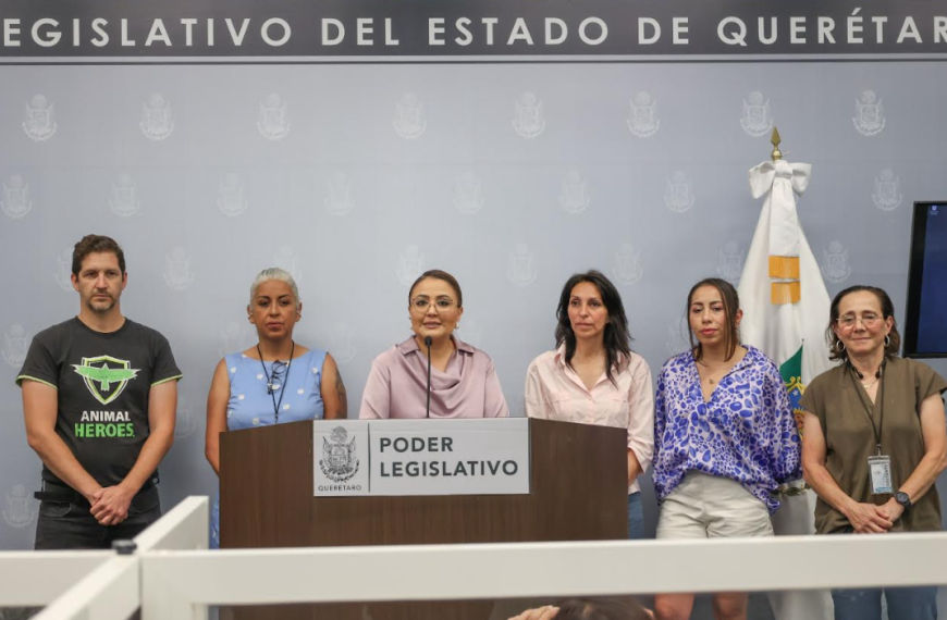 🎆🚫 Claudia Díaz Gayou encabeza llamado&hellip;