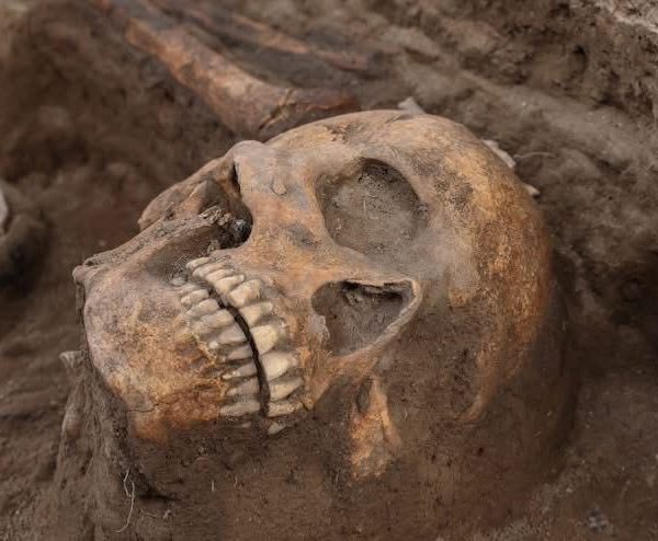 🚨🏛️ Descubren 10 osamentas prehispánicas en obras del&hellip;