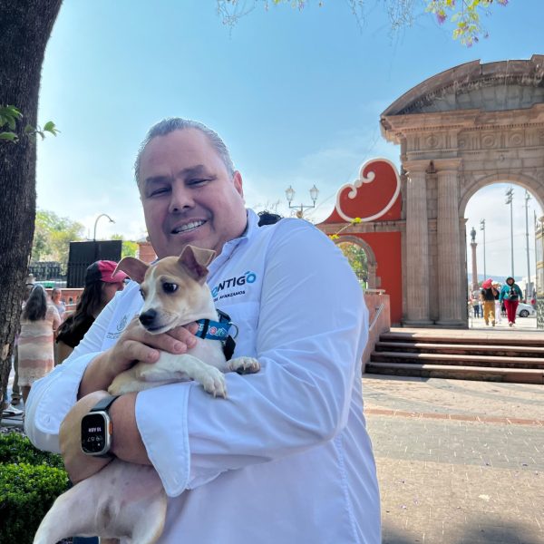 🐾🚌 Qrobús suma más de 2,300 mascotas registradas:&hellip;