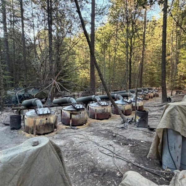 🚨⚠️ Tragedia en El Pinal: mueren 4 tras&hellip;