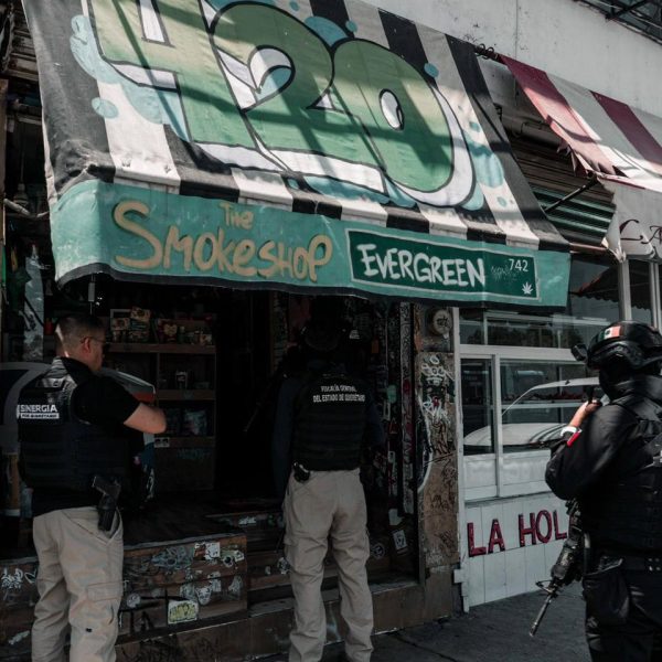 🚨🔎 Megaoperativo en Querétaro: Fiscalía catea 12 “smoke&hellip;