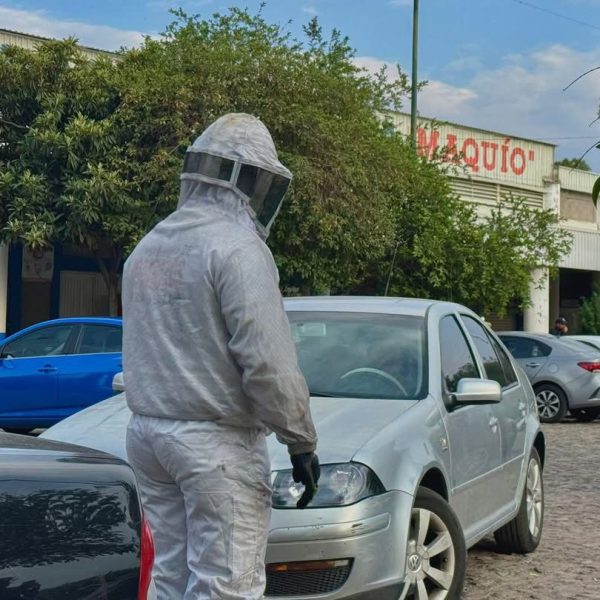 🚨🐝 Ataque de abejas desata movilización en unidad&hellip;