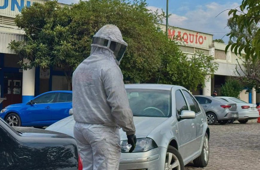 🚨🐝 Ataque de abejas desata movilización&hellip;