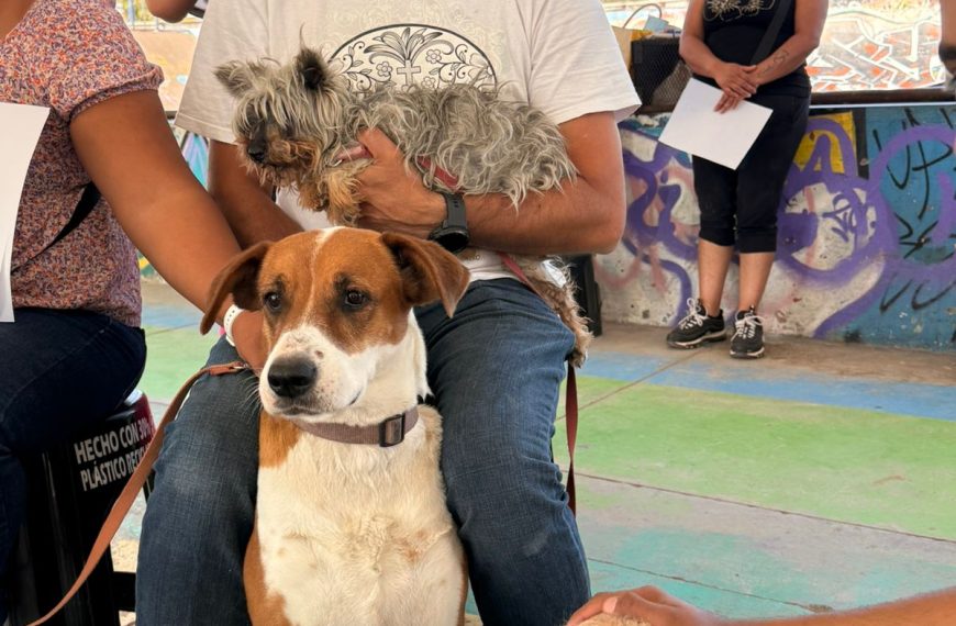 🐶🐱💉 Querétaro intensifica jornadas gratuitas para&hellip;
