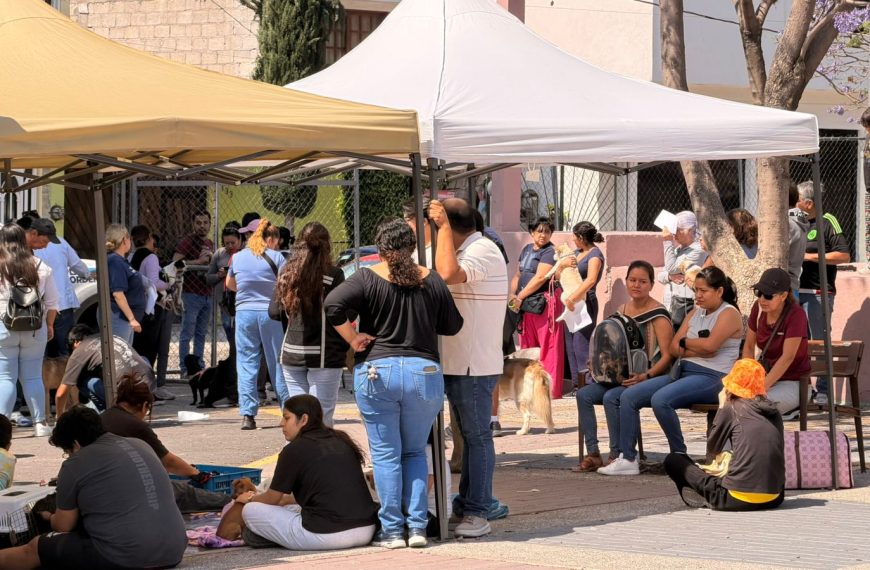🐶📍 Querétaro busca identificar a mascotas&hellip;