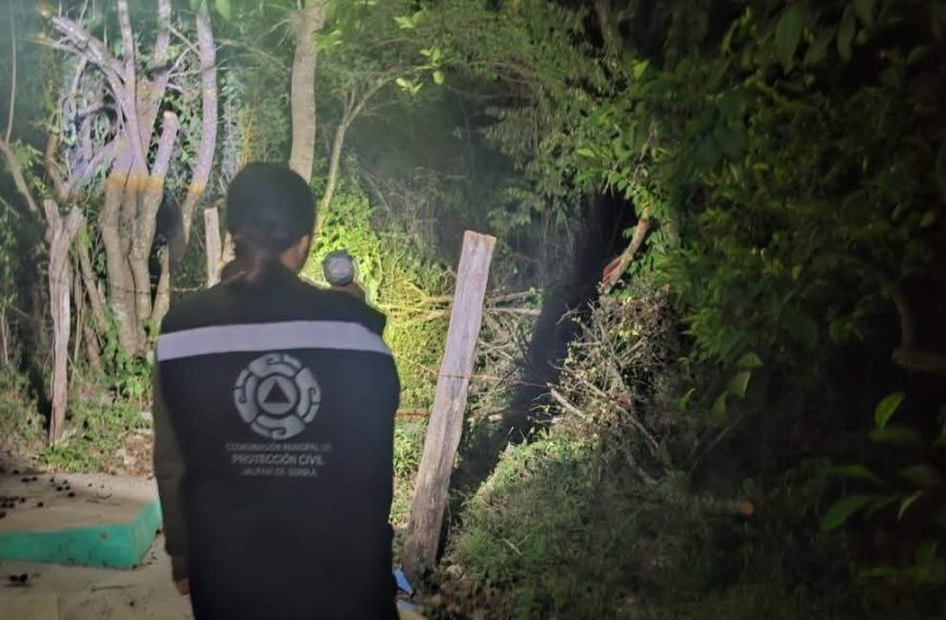 🚨🐻 Reportan presencia de oso negro&hellip;
