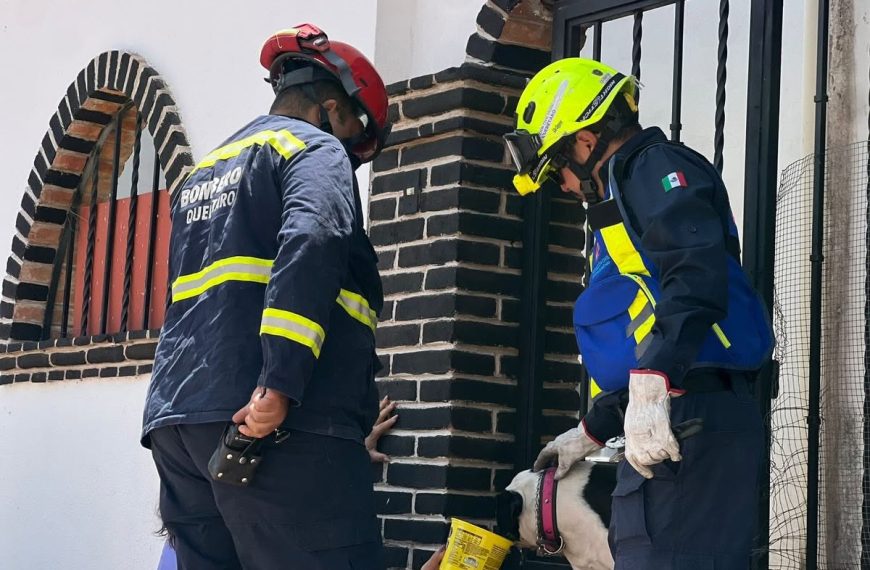 🚒🐾 Perrito queda atorado en una&hellip;