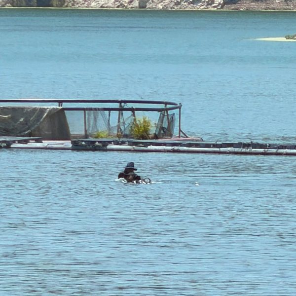 🌊🚨 Siguen buscando a tres jornaleros desaparecidos en&hellip;