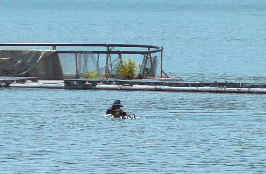🌊🚨 Siguen buscando a tres jornaleros&hellip;