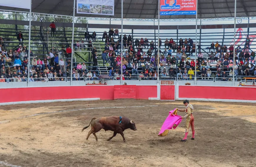 🐂⚖️ Frenan corrida de toros en San Juan&hellip;